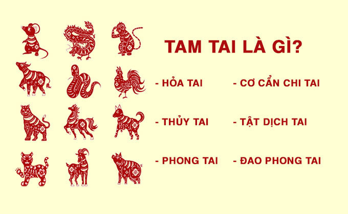 Phạm Tam Tai là gì?