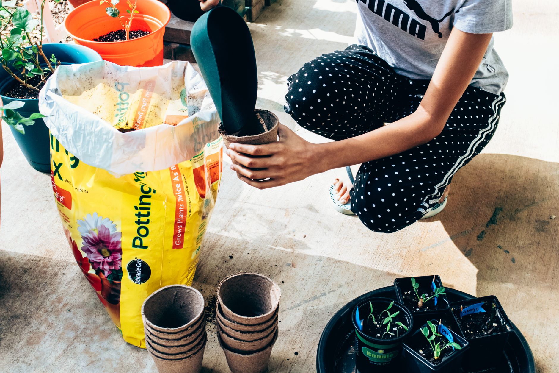 Trồng rau sân thượng - trộn đất trồng rau chậu